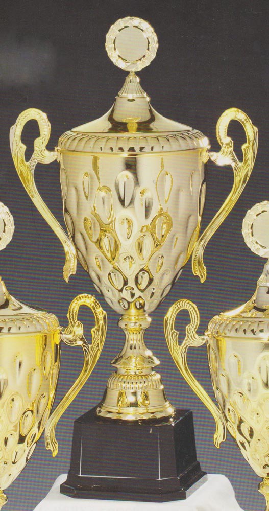 Stieber Pokale Gold 53841-53843 Stieber_Pokale_Gold_gr