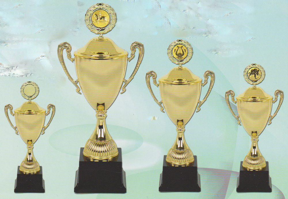 Pokale 67880 Award_67880_gr