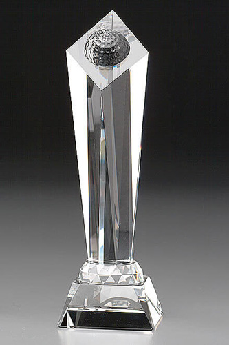 Tray Award 7976_Tray_web